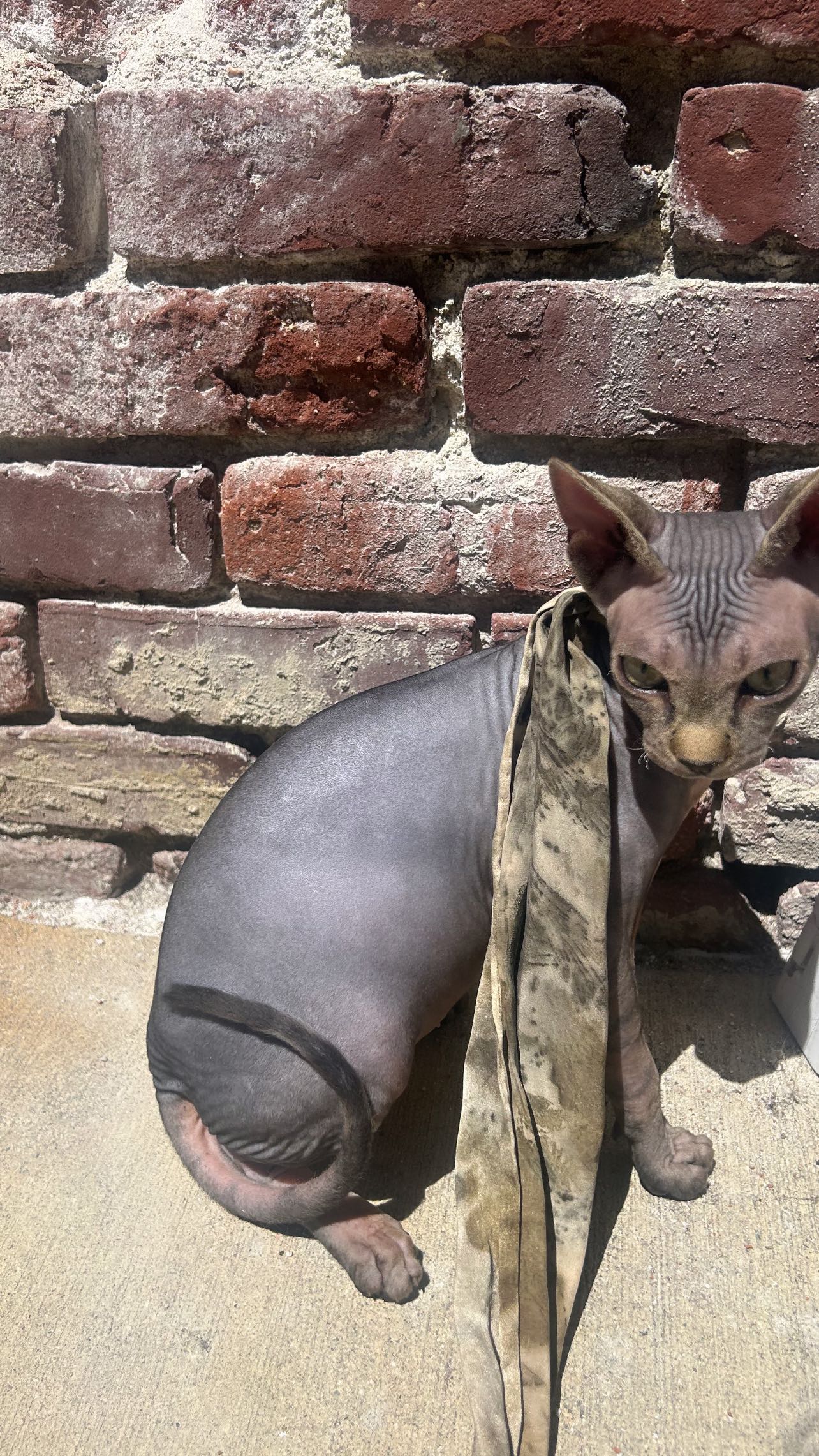 zommmbri instagram image archive image