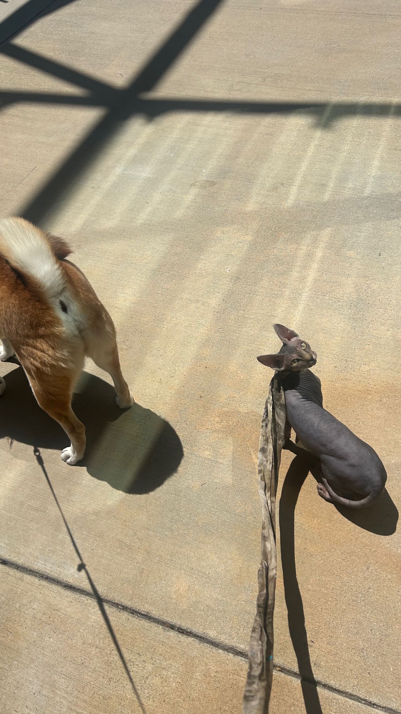 zommmbri instagram image archive image