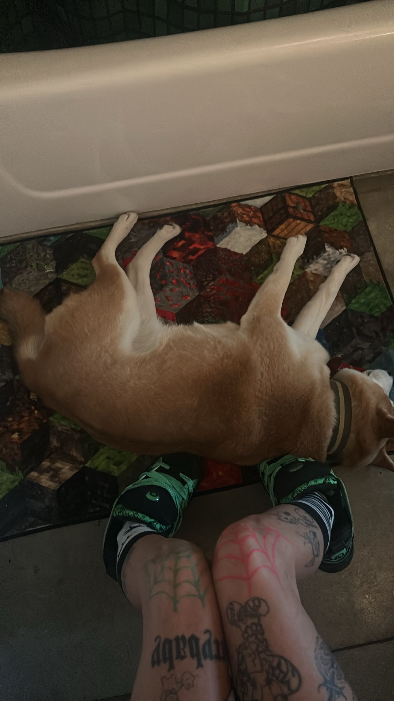 zommmbri instagram image archive image