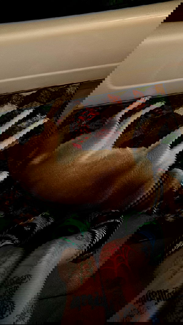 zommmbri image ~ Altpins