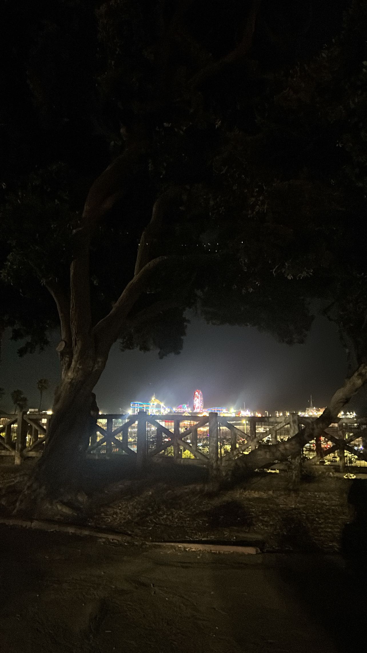 zommmbri instagram image archive image