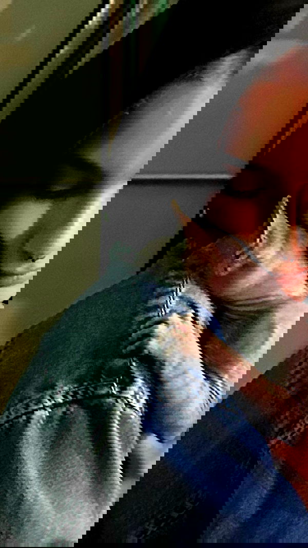 zommmbri image ~ Altpins