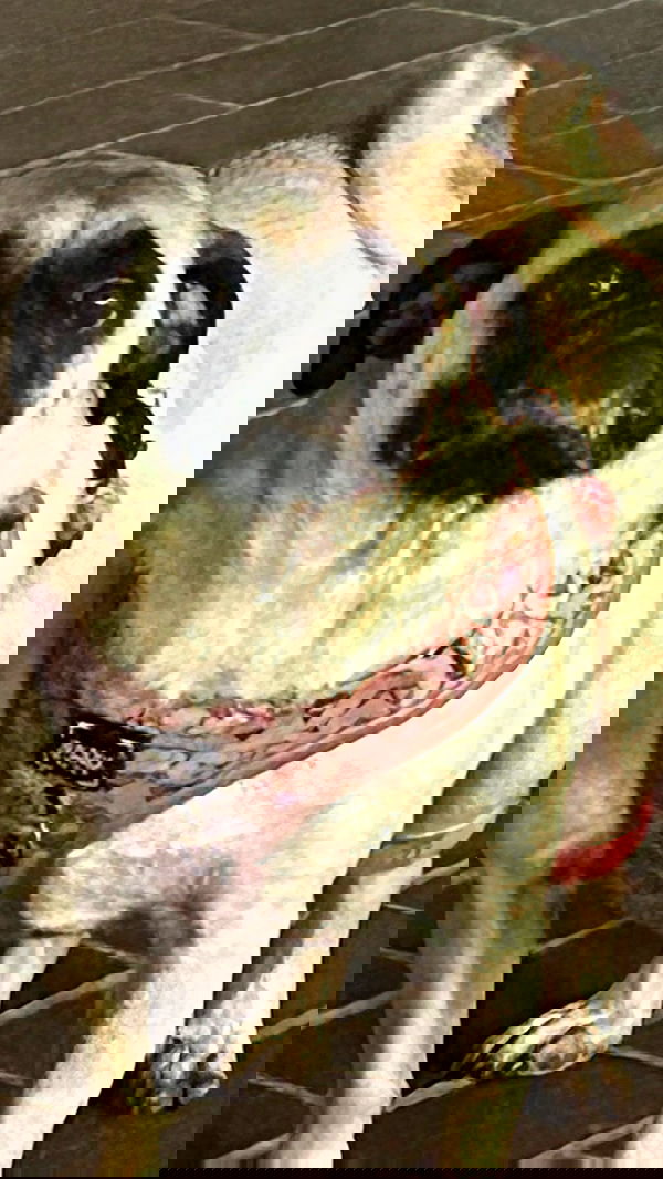 zommmbri image ~ Altpins