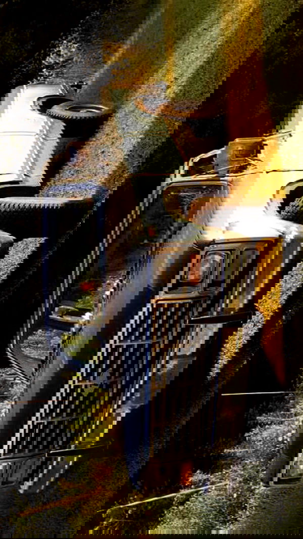 zommmbri image ~ Altpins