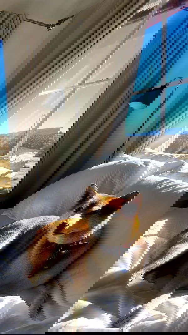 zommmbri image ~ Altpins