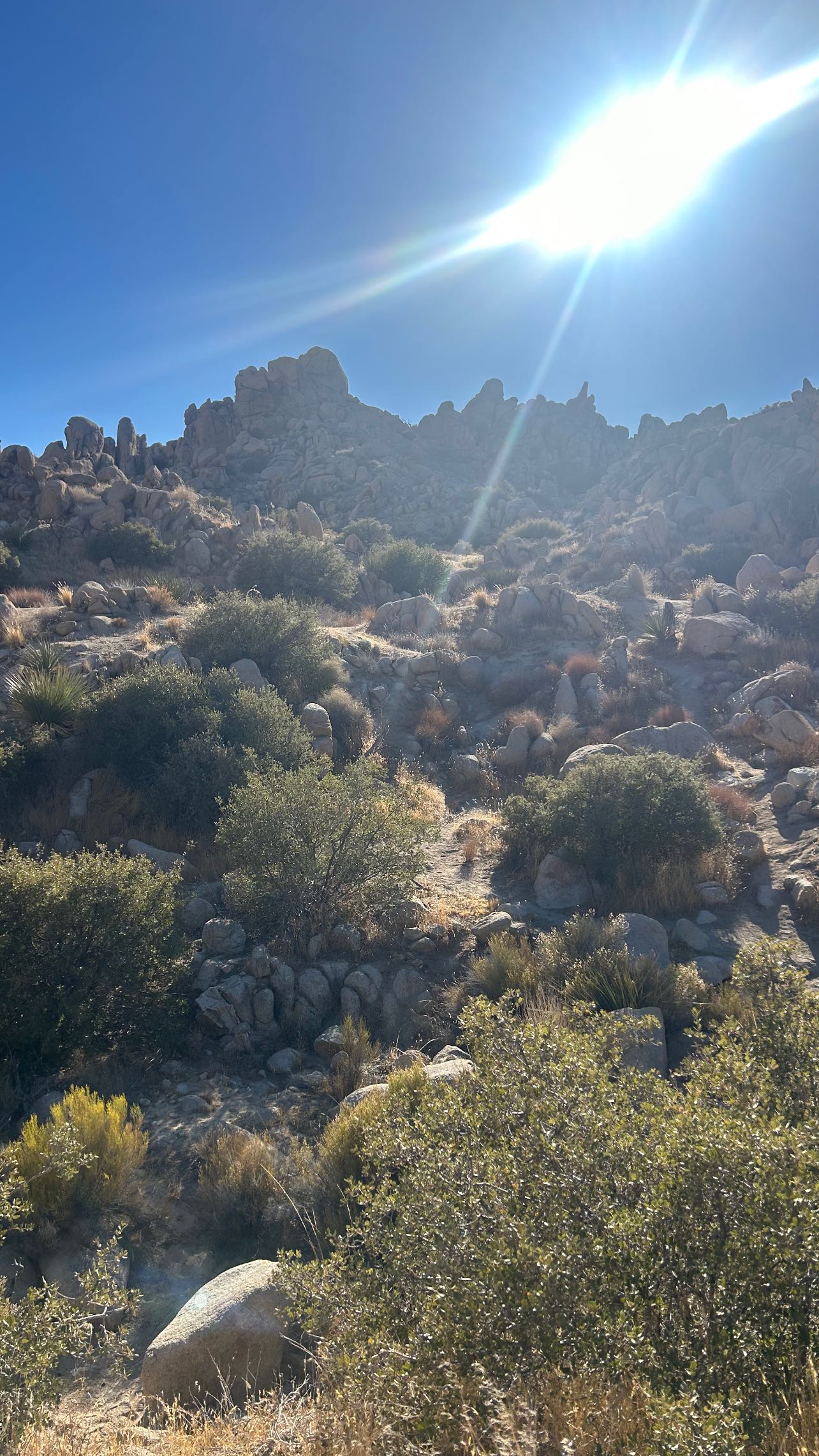 zommmbri instagram image archive image