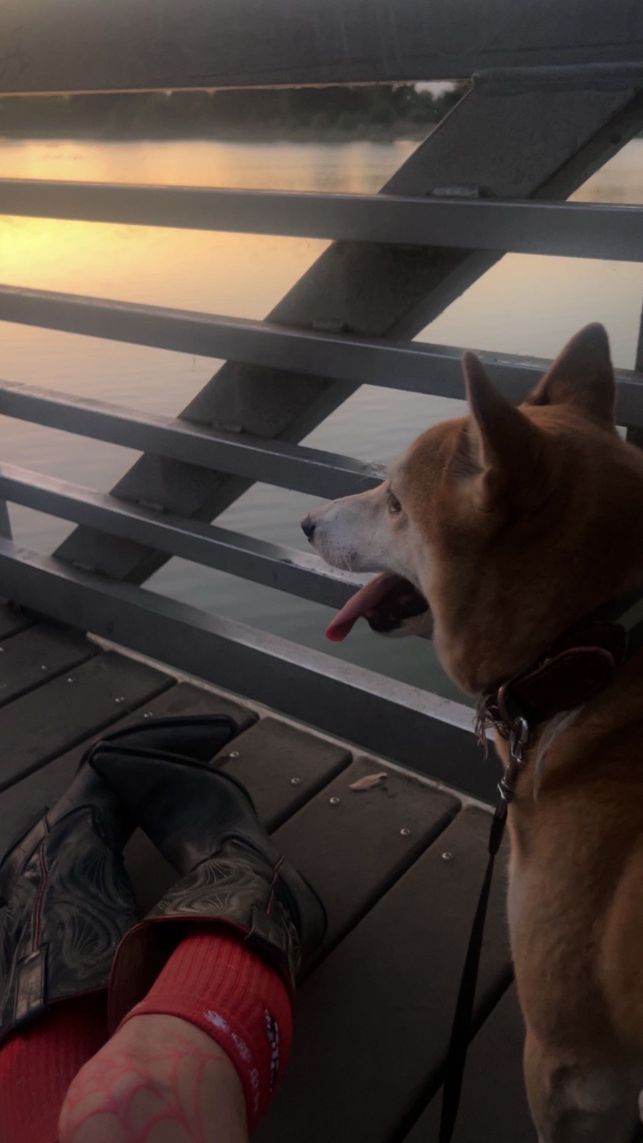 zommmbri instagram image archive image