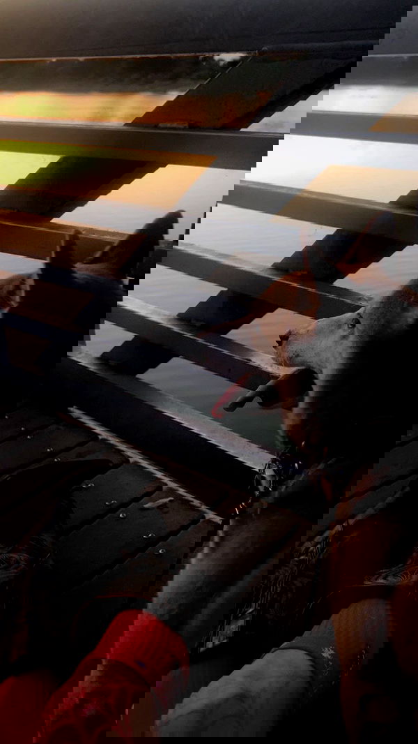 zommmbri image ~ Altpins