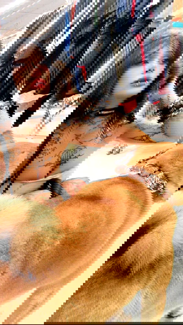 zommmbri image ~ Altpins