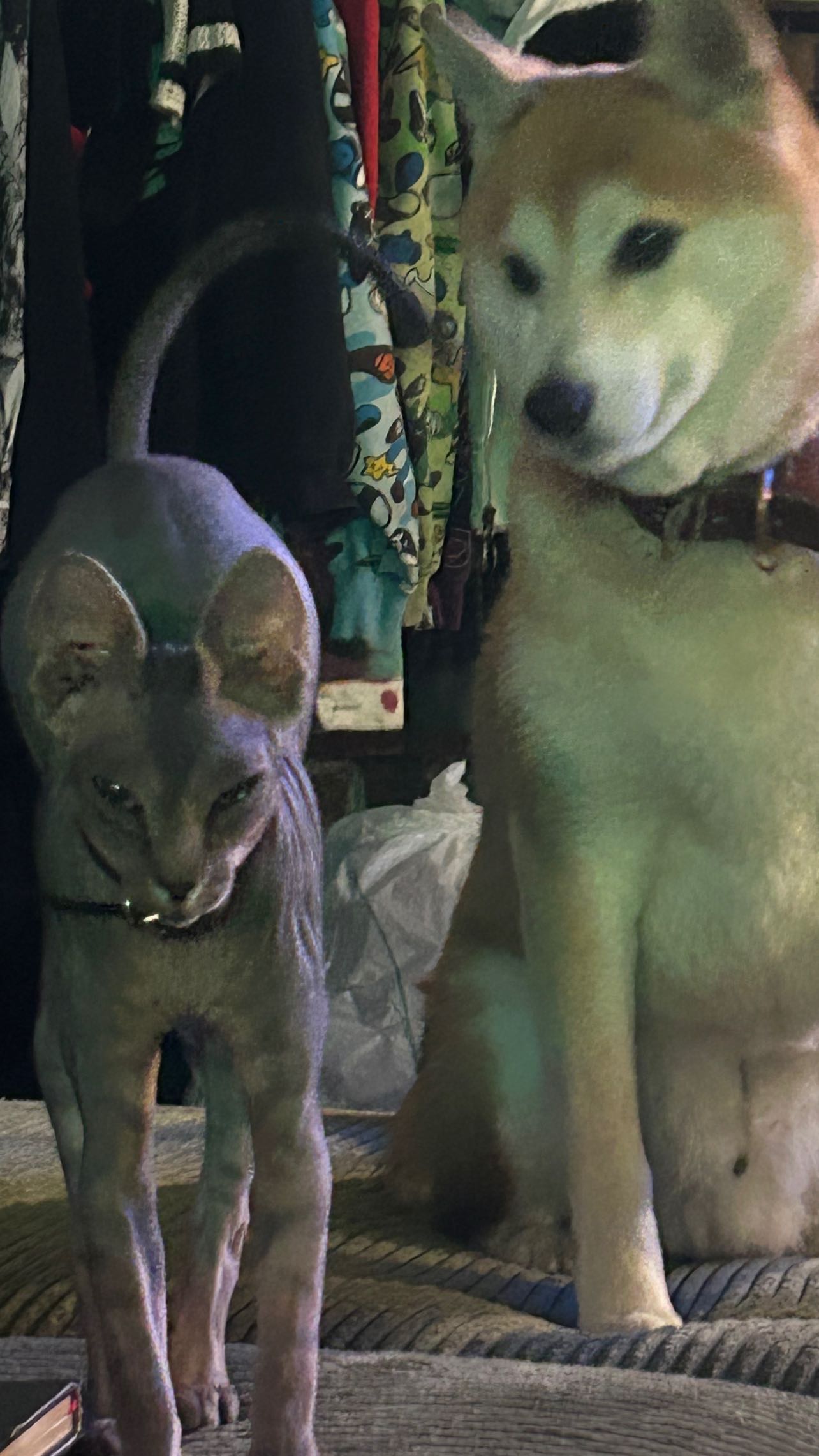 zommmbri instagram image archive image