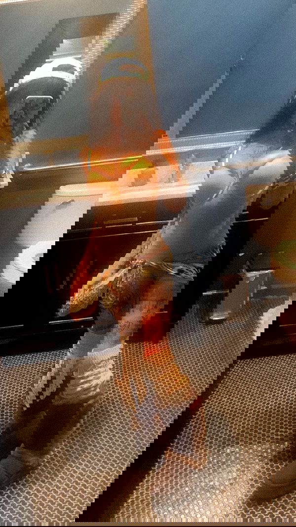 zommmbri image ~ Altpins