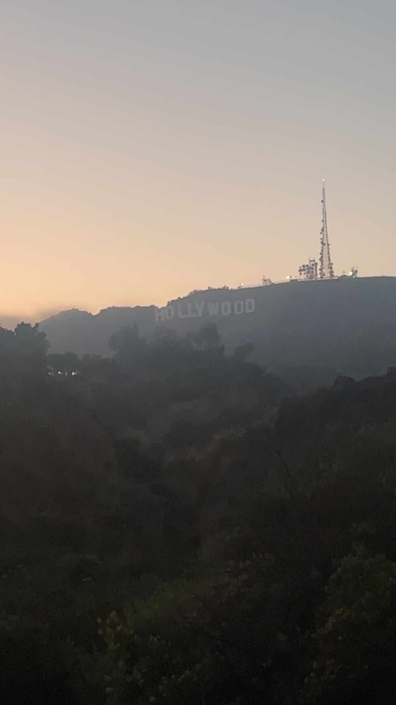 zommmbri instagram image archive image