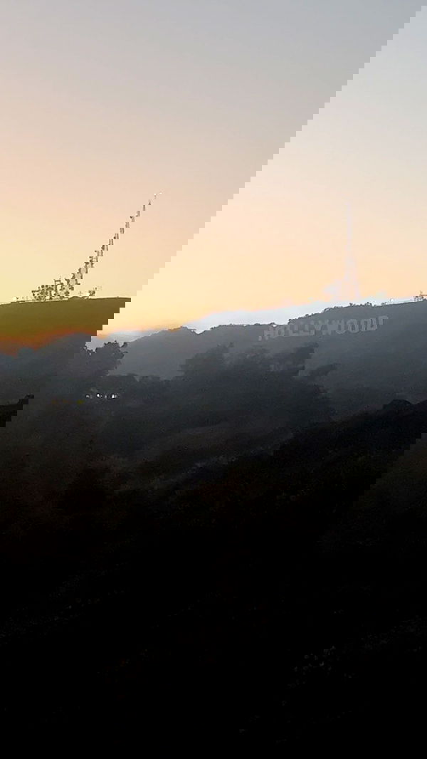 zommmbri image ~ Altpins