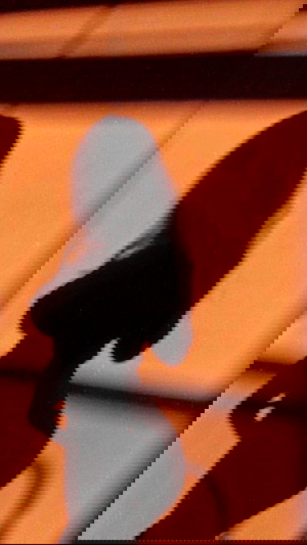 zommmbri image ~ Altpins