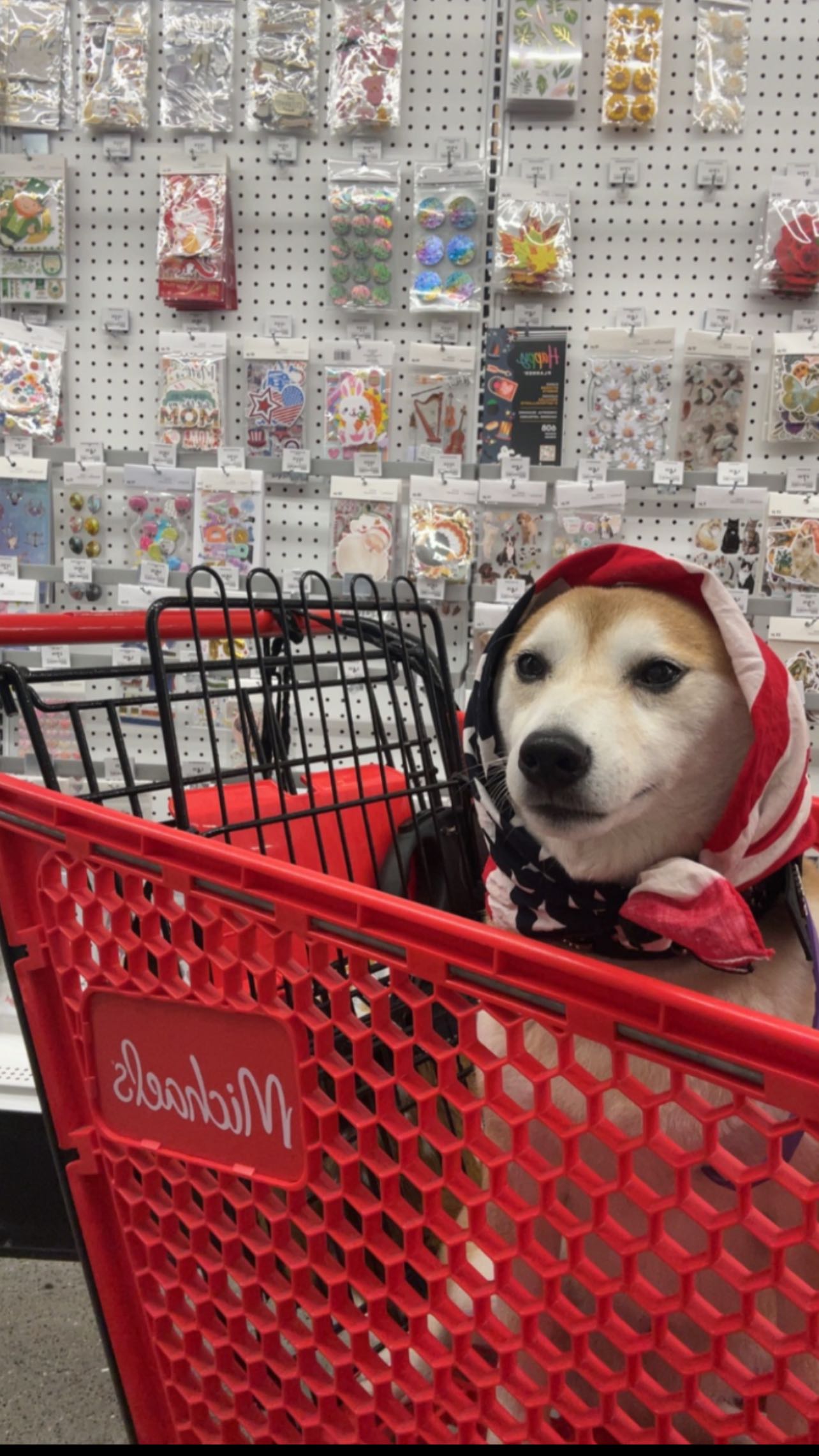 zommmbri instagram image archive image