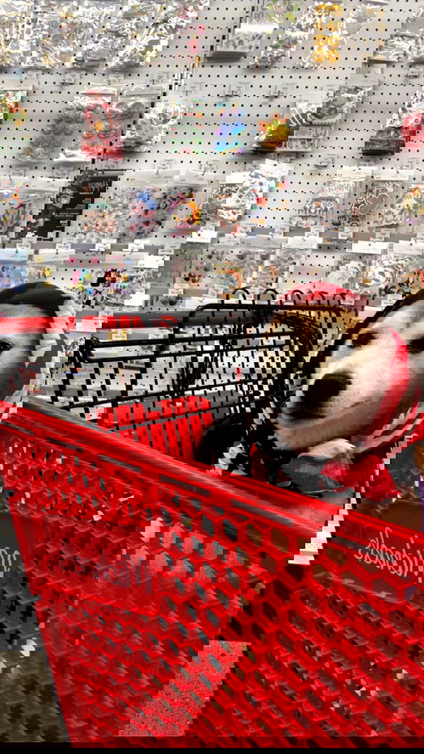 zommmbri image ~ Altpins