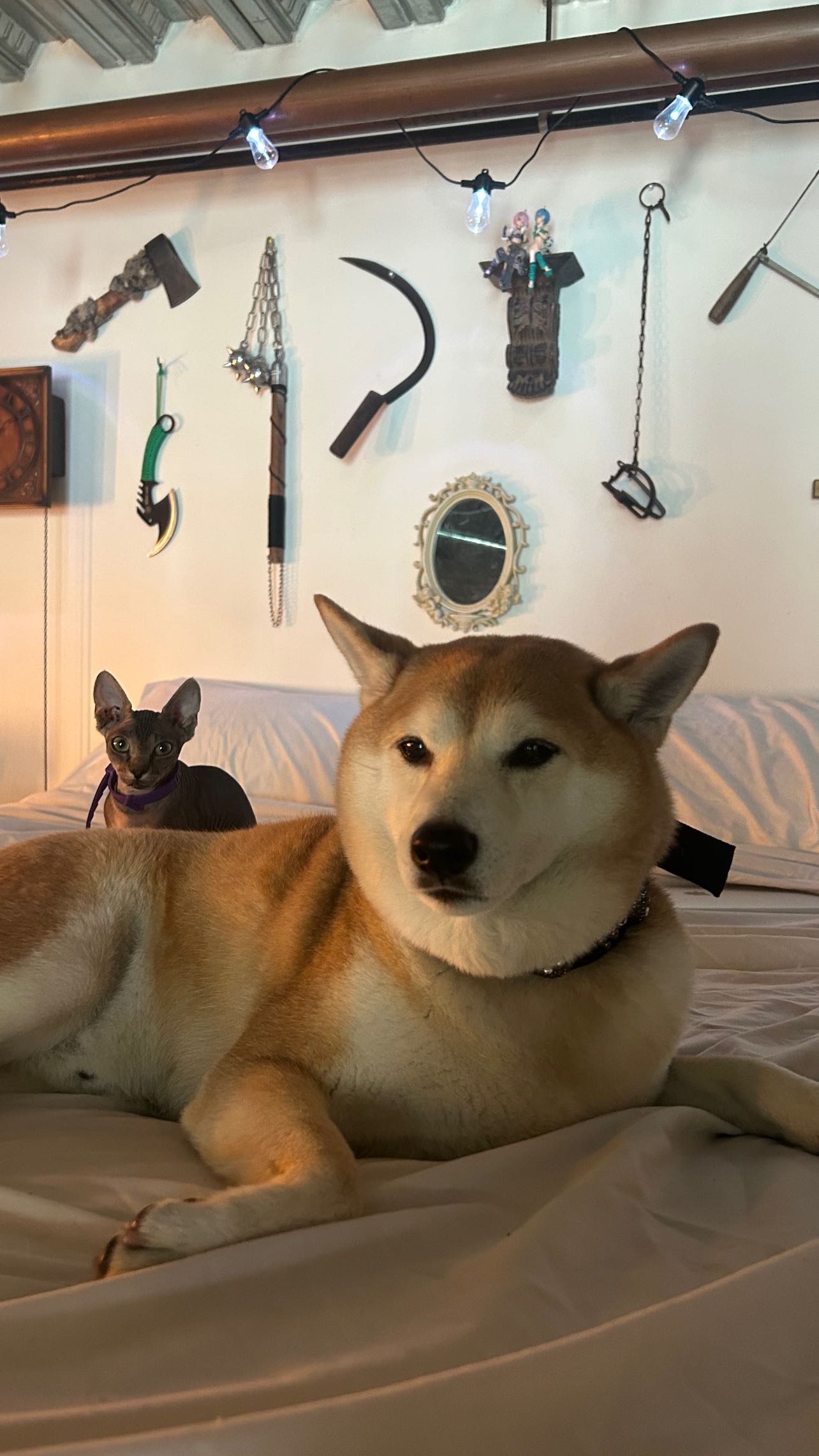 zommmbri instagram image archive image