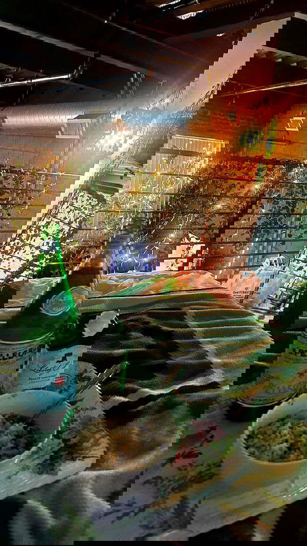 zommmbri image ~ Altpins