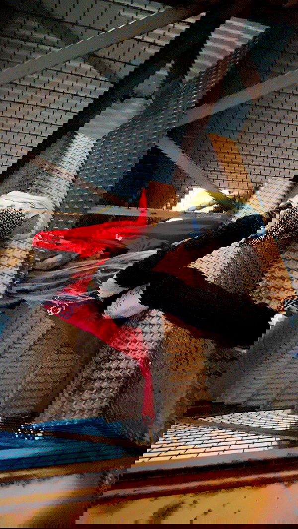 zommmbri image ~ Altpins