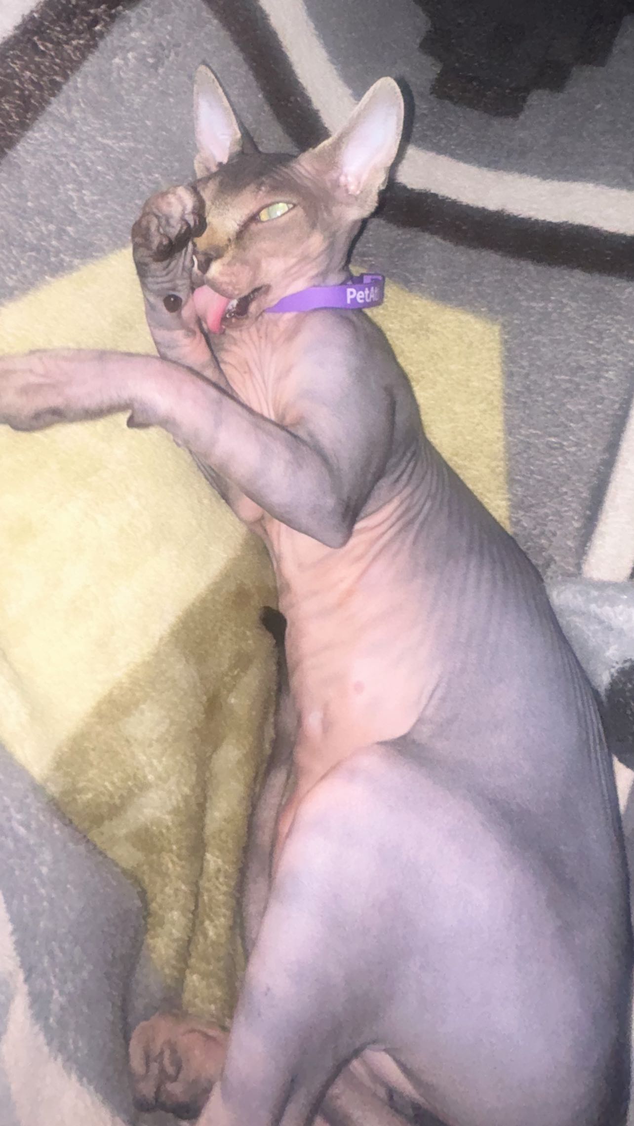 zommmbri instagram image archive image