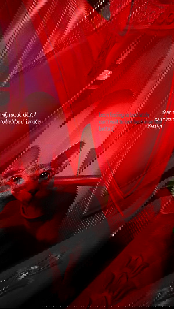 zommmbri image ~ Altpins