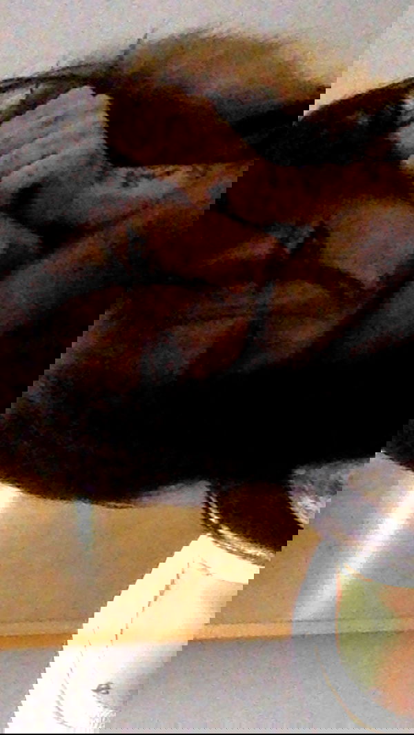 zommmbri image ~ Altpins