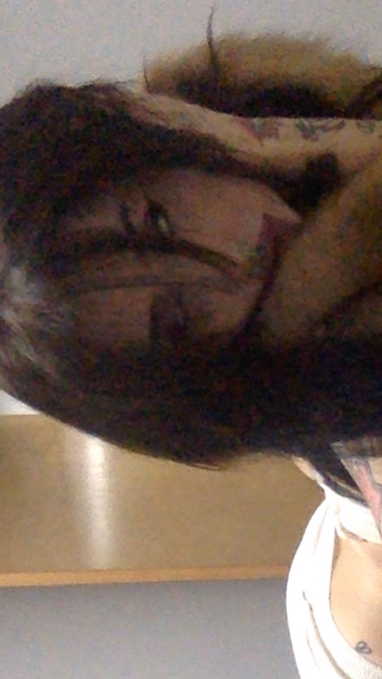 zommmbri instagram image archive image