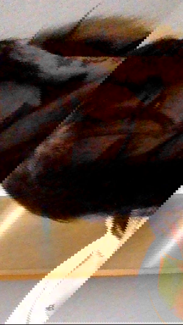 zommmbri image ~ Altpins