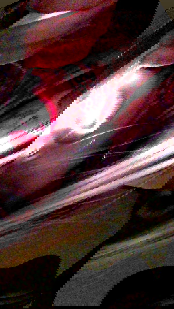 zommmbri image ~ Altpins