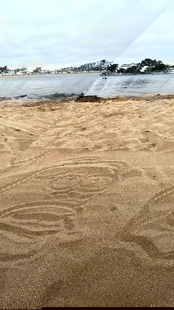 zommmbri image ~ Altpins