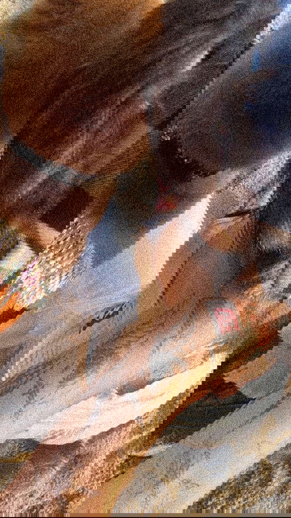 zommmbri image ~ Altpins