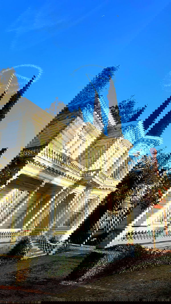 zommmbri image ~ Altpins