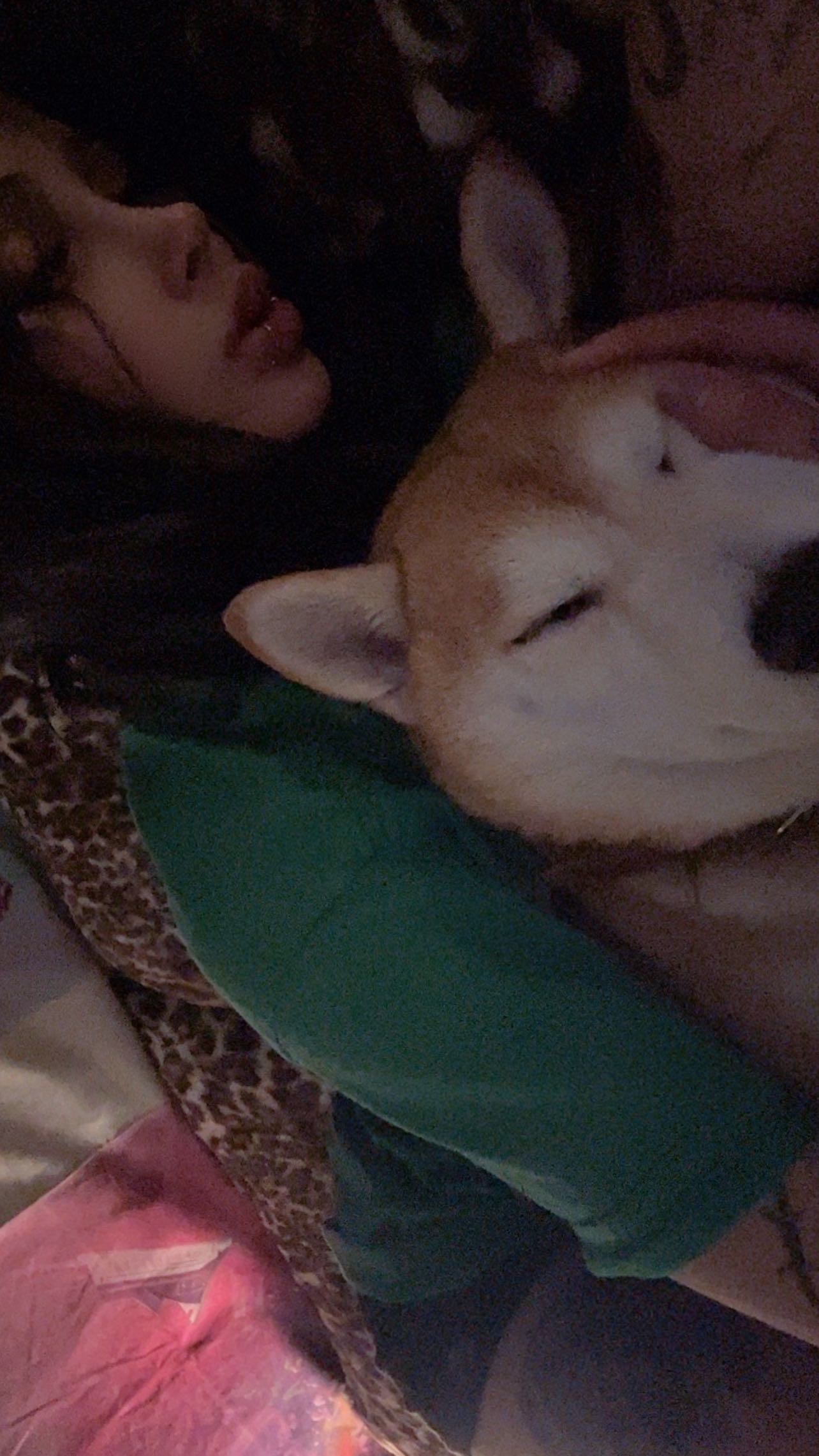 zommmbri instagram image archive image