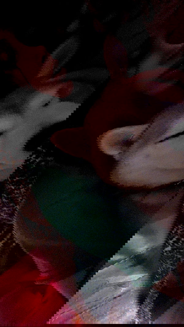 zommmbri image ~ Altpins