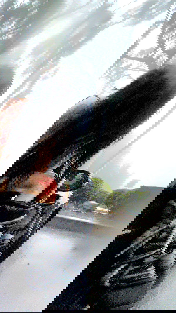 zommmbri image ~ Altpins