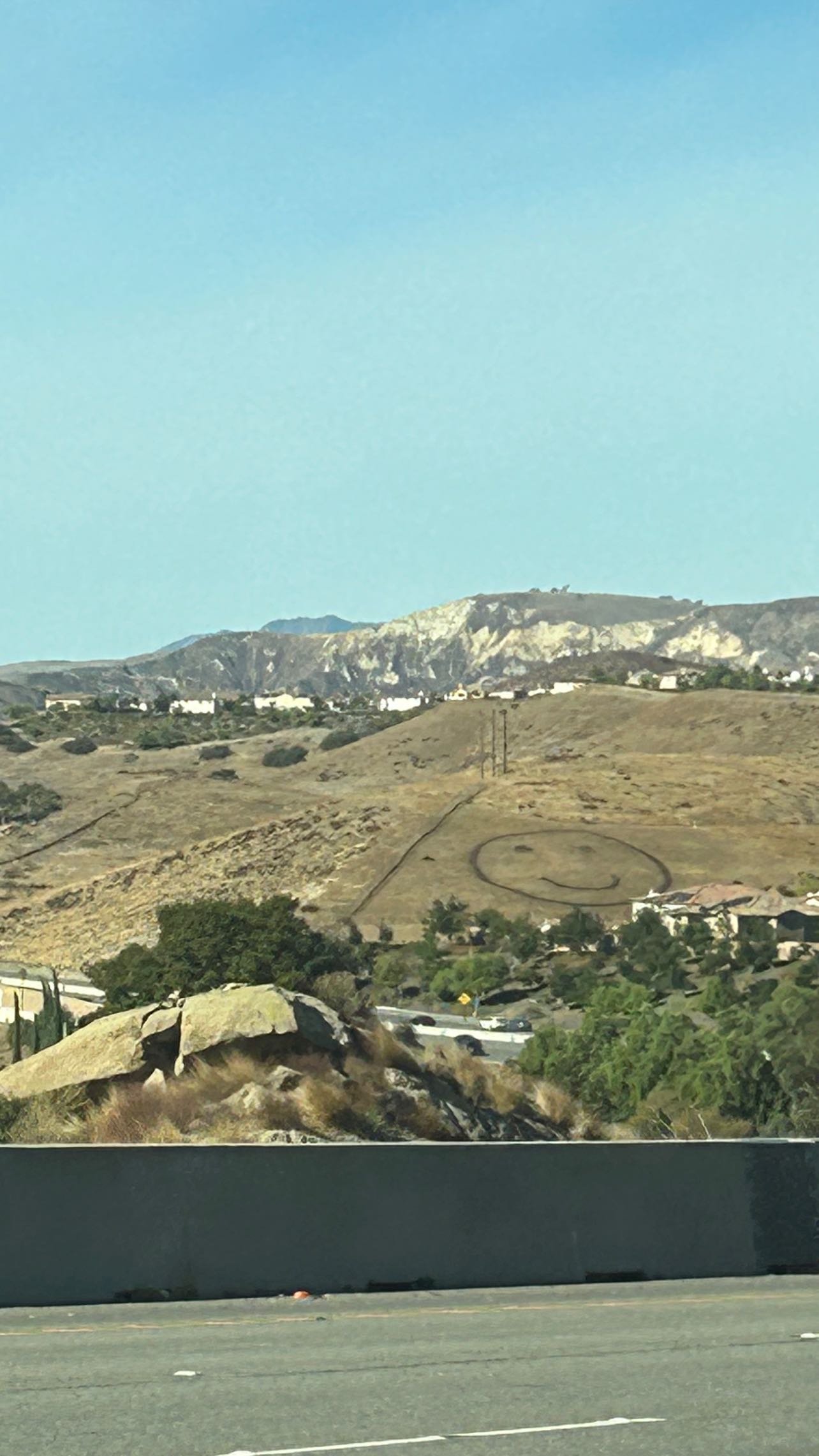 zommmbri instagram image archive image