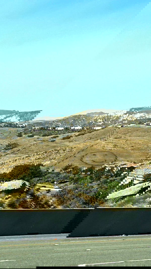 zommmbri image ~ Altpins