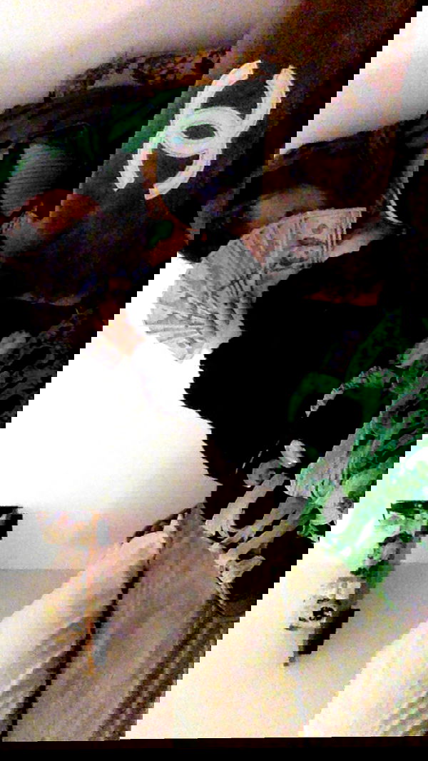 zommmbri image ~ Altpins