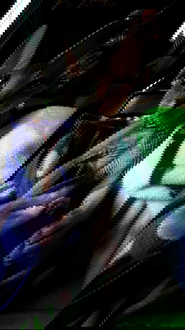 zommmbri image ~ Altpins