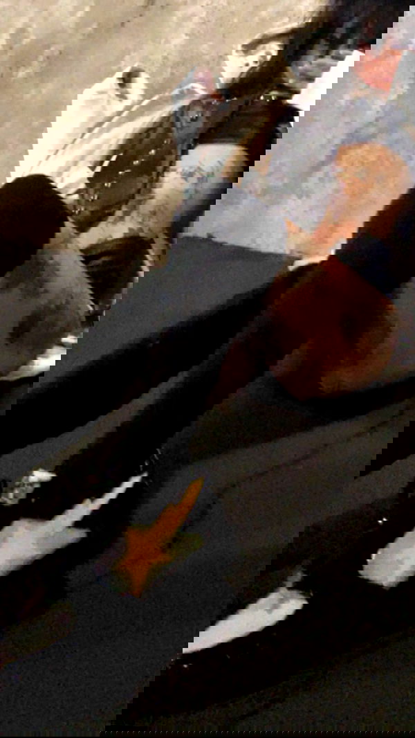 zommmbri image ~ Altpins