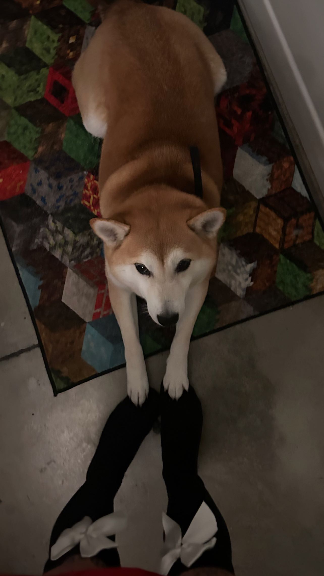 zommmbri instagram image archive image