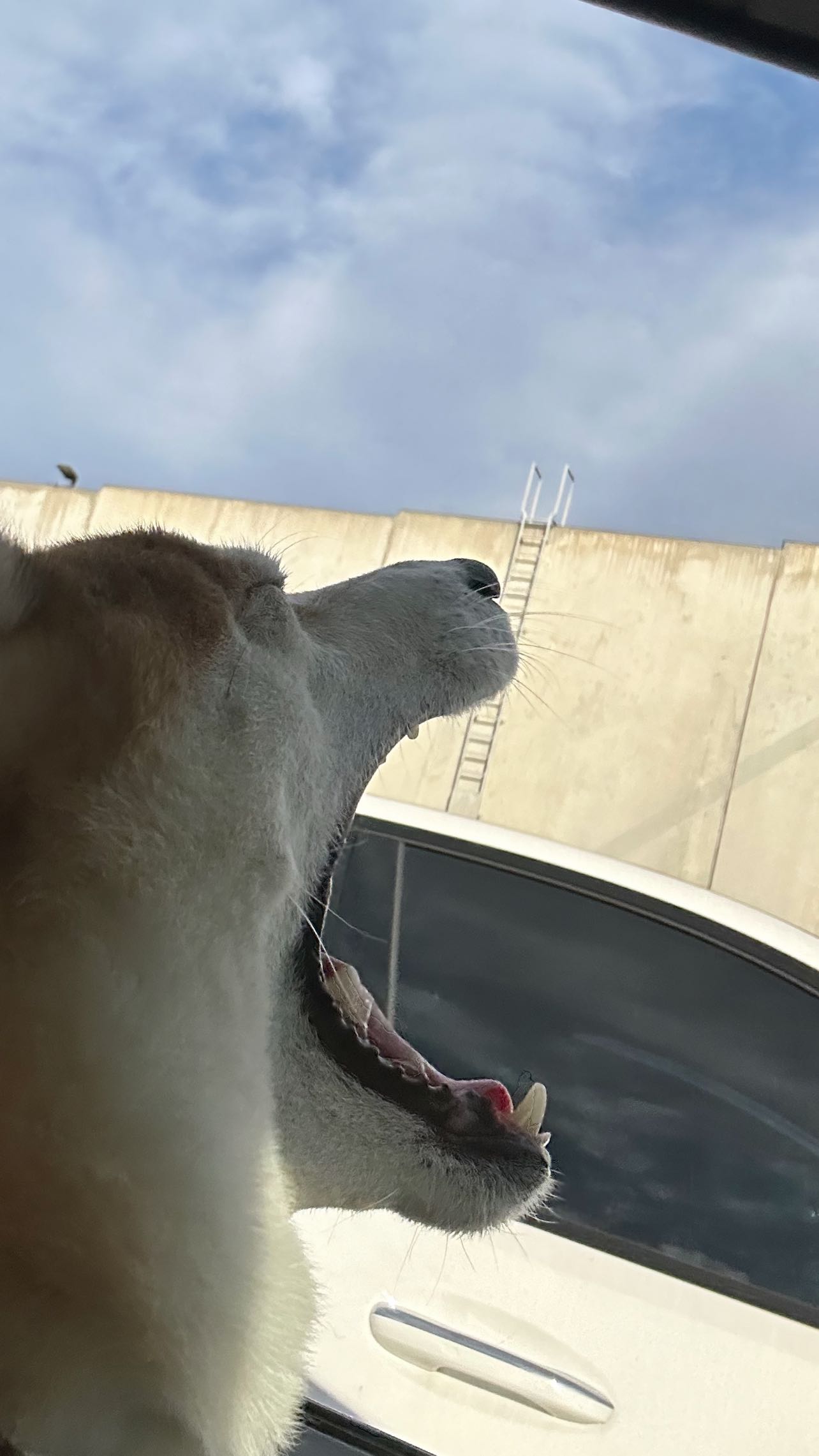 zommmbri instagram image archive image