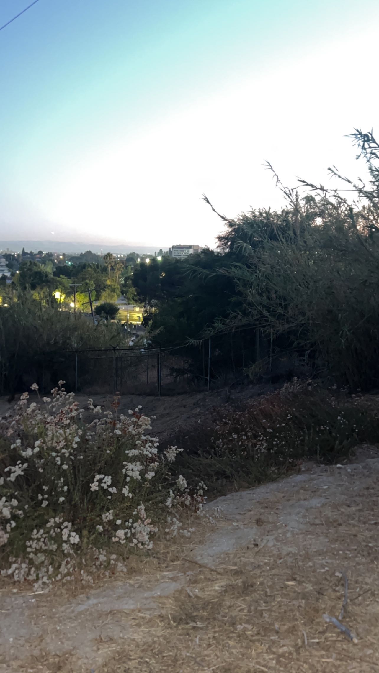 zommmbri instagram image archive image