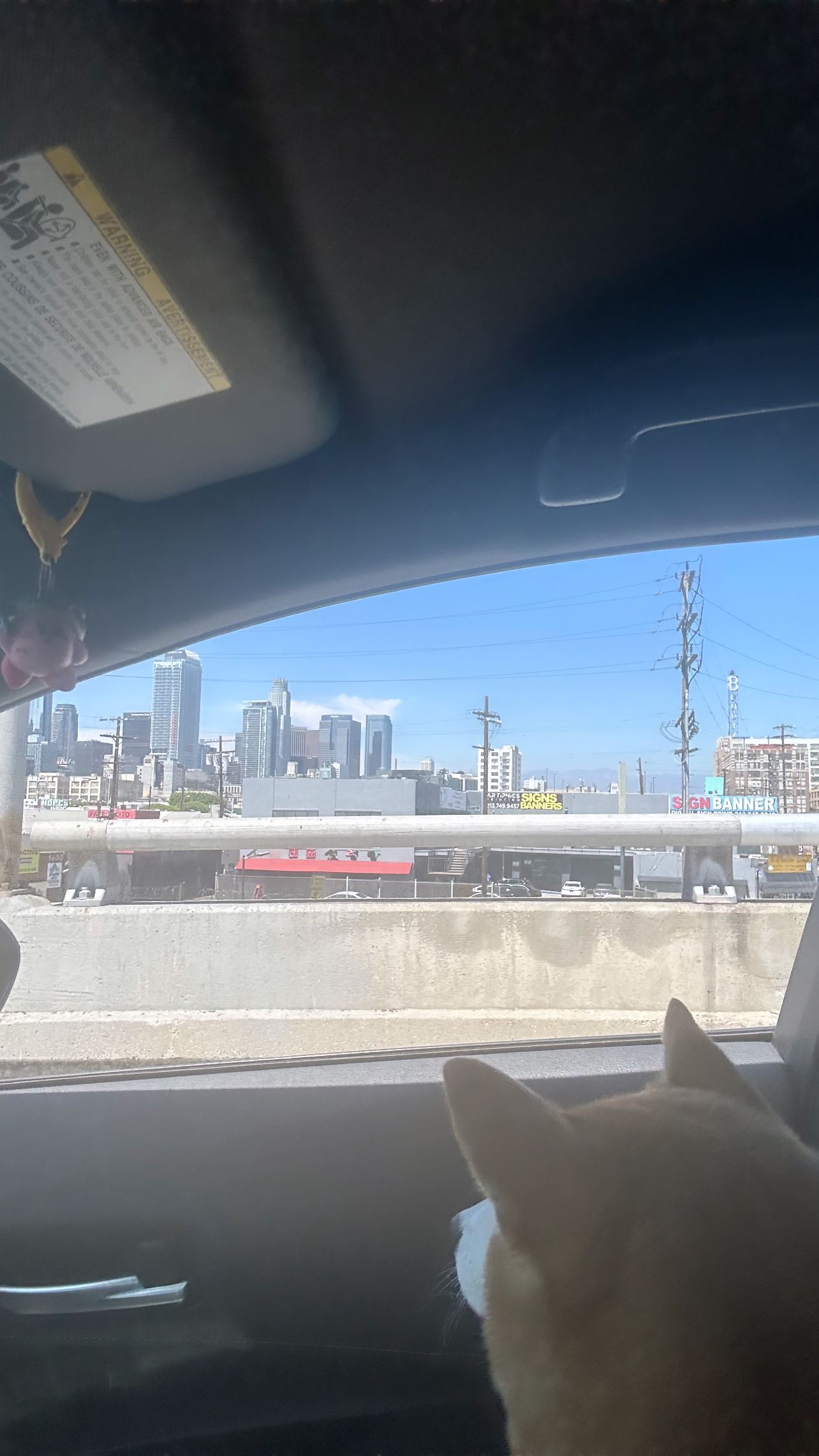 zommmbri instagram image archive image