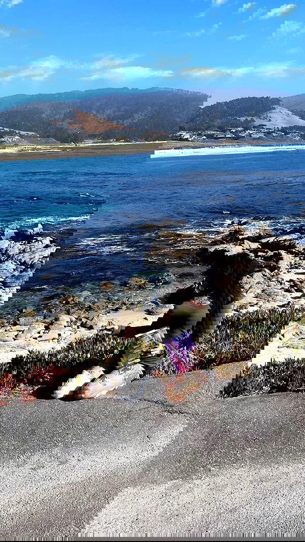 zommmbri image ~ Altpins