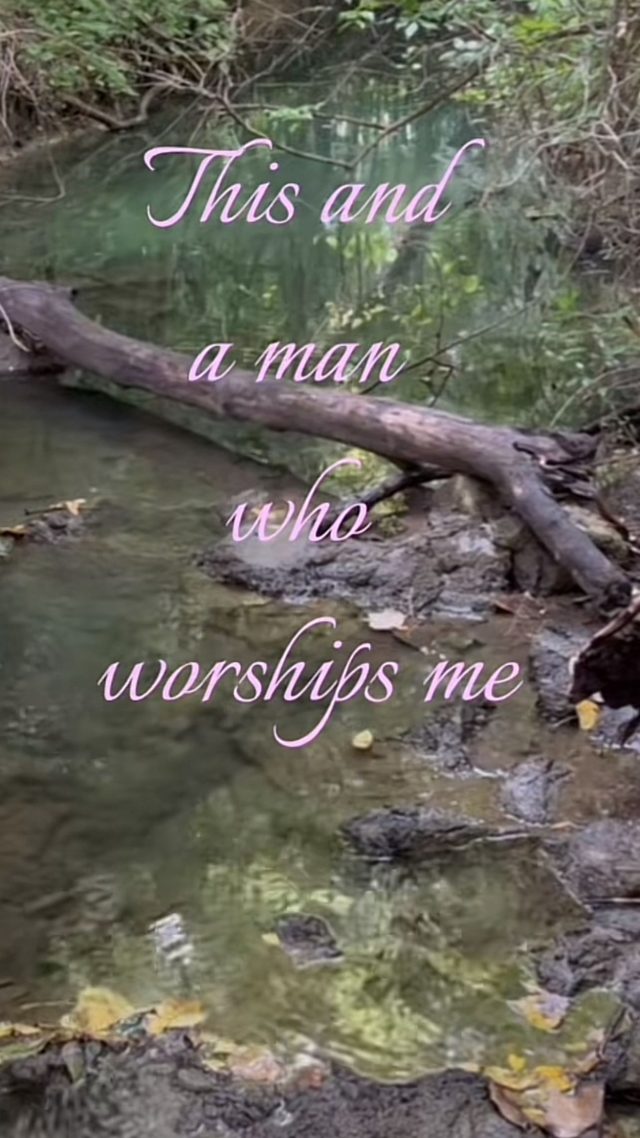 zommmbri instagram image archive image