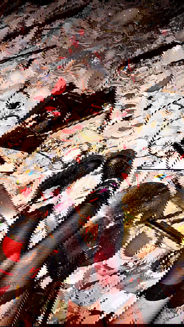 zommmbri image ~ Altpins