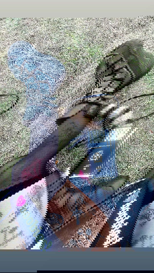 zommmbri image ~ Altpins