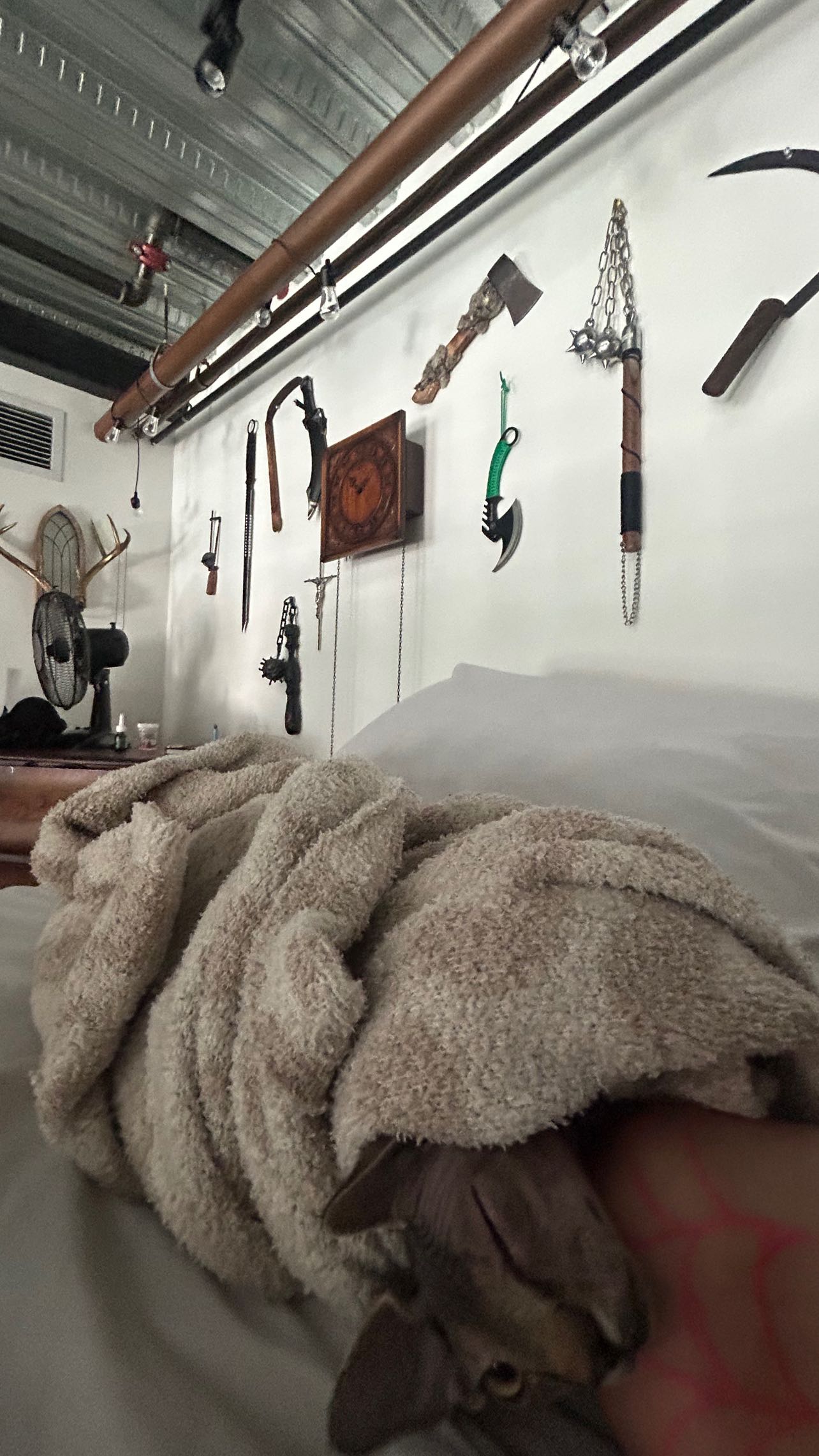 zommmbri instagram image archive image