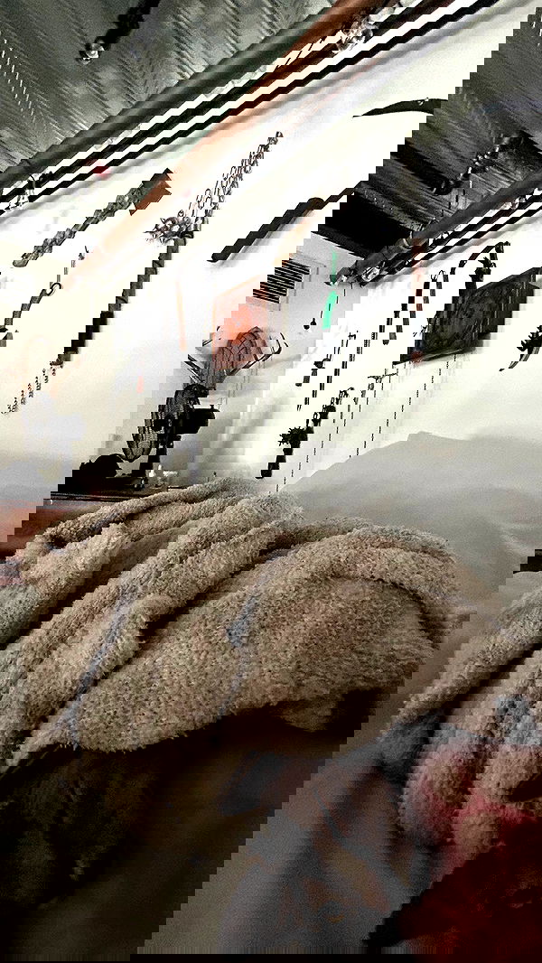 zommmbri image ~ Altpins